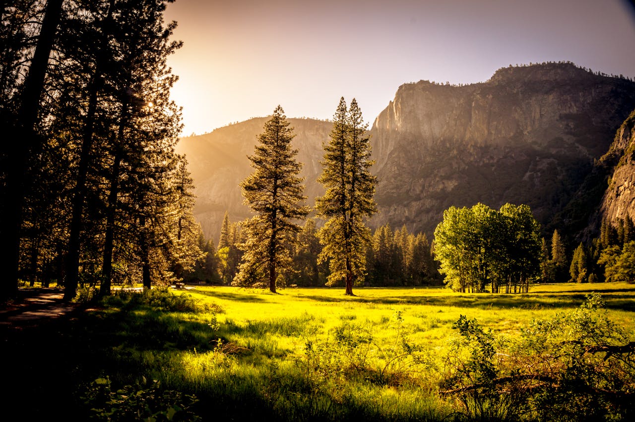 InterWest-Properties-Vancouver-forest-natural-park InterWest-Properties-Vancouver-forest-natural-park